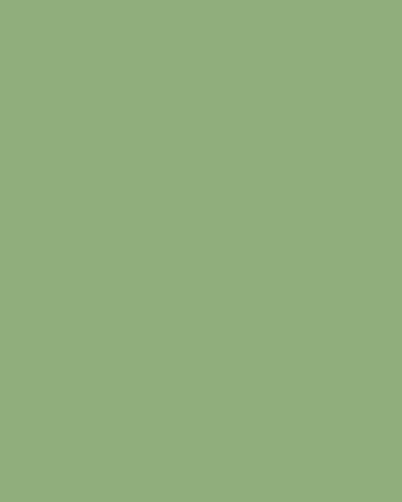 Matcha Croissant